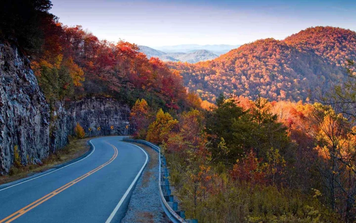 A beautiful winding road through a picturesque autumn forest.